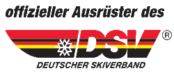 DSV-Logo