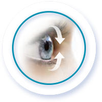 DAILIES AquaComfort PLUS Multifocal