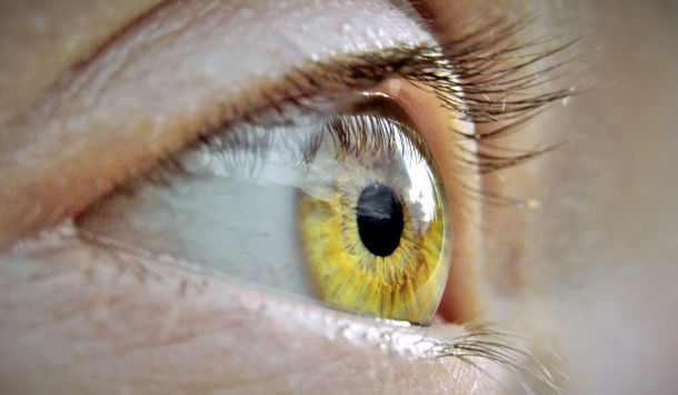 Ihr Auge als Bioindikator