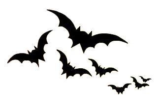 Fledermaus