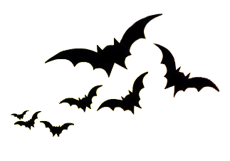 Fledermaus
