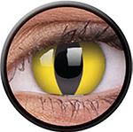 Colour VUE - Cateye